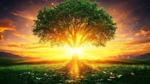 paisagem-esperanca devocional do dia 01 de julho 2025