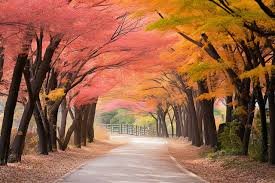 images (2) Caminho estreito entre árvores com luz suave entrando pelas folhas — simbolizando presença constante e direção segura