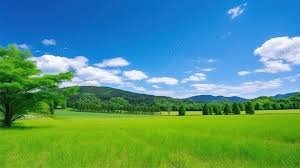 images (5) Campo verde com uma estrada suave e céu claro ao fundo — transmitindo paz, cuidado e presença constante.