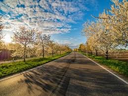 download (9) imagem realista, com elementos de natureza e uma estrada ao fundo, representando entrega e direção.