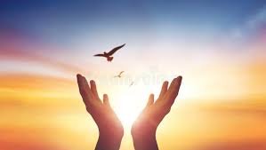 download (14) mãos erguidas diante do céu, simbolizando fé e busca por milagres.