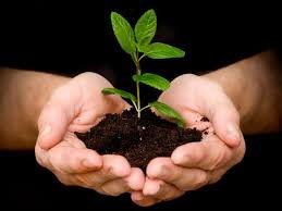 download (15) mãos semeando em solo seco, representando fé e esperança em tempos de escassez.