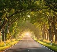 download (2) estrada iluminada ao pôr do sol esperança confiança” (imagem de um caminho/estrada, luz suave, remetendo a entrega e confiança em Deus)