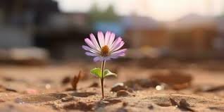 download (1) Flor brotando em meio ao solo seco, simbolizando fé e esperança em tempos de escassez.