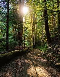 download (10) claridade suave iluminando um ambiente tranquilo, representando paz interior