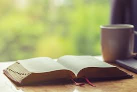 download (30) Bíblia com caderno de gratidão ao lado