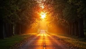 download (45) ilustração de um caminho iluminado por luz dourada ao amanhecer, simbolizando direção e vida