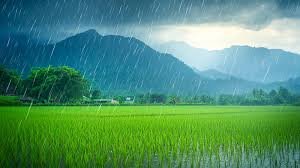 download (3) Chuva suave caindo sobre um campo verde, simbolizando restauração e provisão divina.